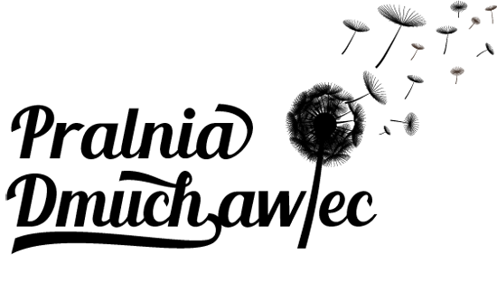 pralnia dmuchawiec logo czarne
